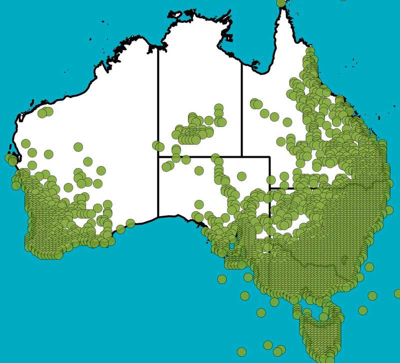 Distribution Map | Juncus contiuus | Queensland Native Seeds