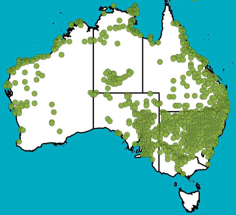 Distribution Map | Myoporum montanum | Queensland Native Seeds