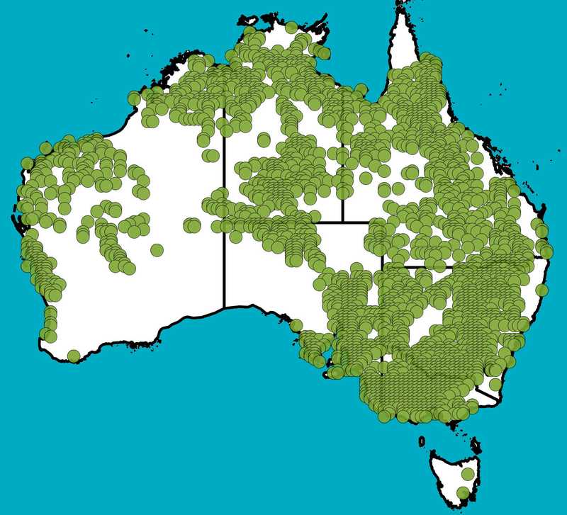 Distribution Map | Eucalyptus camaldulensis | Queensland Native Seeds