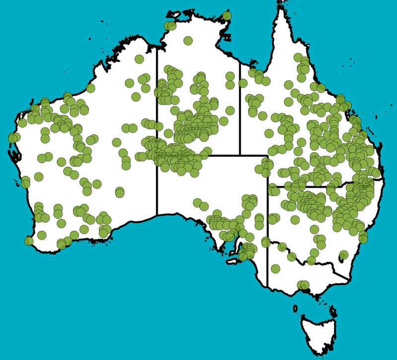 Distribution Map | Cymbopogon obtectus | Queensland Native Seeds