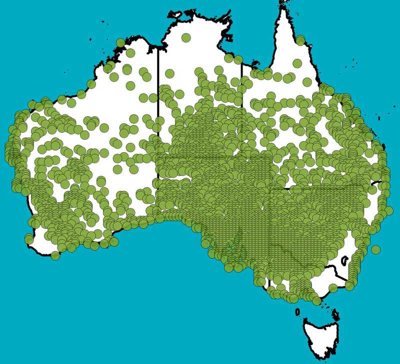 Distribution Map | Enchylaena tomentosa | Queensland Native Seeds