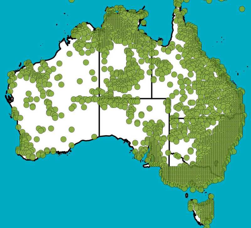 Distribution Map | Themeda triandra | Queensland Native Seeds